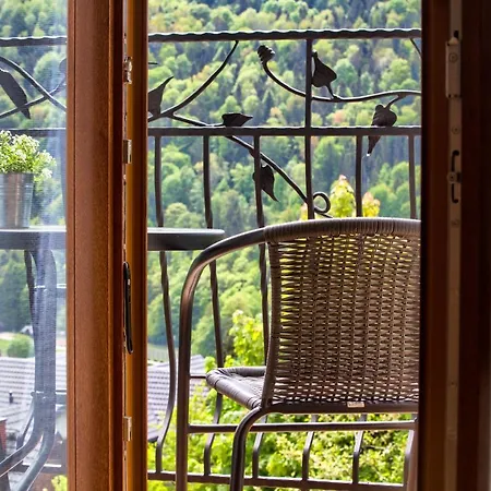 Na Pieninskim Wzgorzu Apartment *